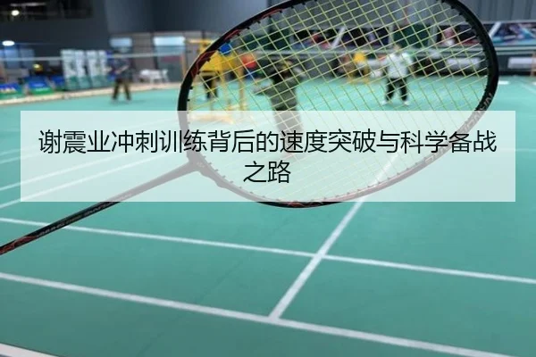 谢震业冲刺训练背后的速度突破与科学备战之路