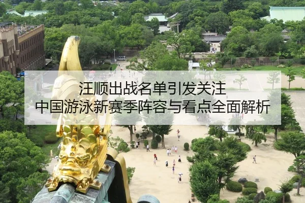 汪顺出战名单引发关注 中国游泳新赛季阵容与看点全面解析